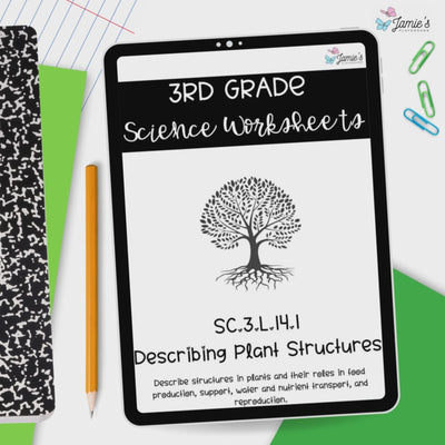 Plant Structures and Functions Activity & Answer Key 3rd Grade Life Science