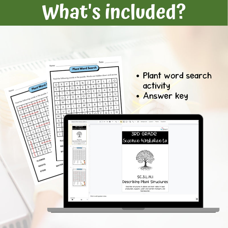 FREE Plant Structures and Functions Word Search Fun Science Activity