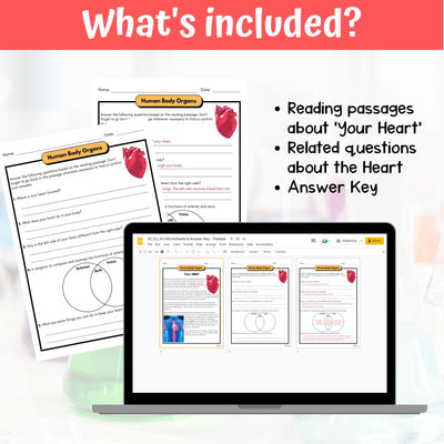 FREE Heart and its functions Life Science Activity