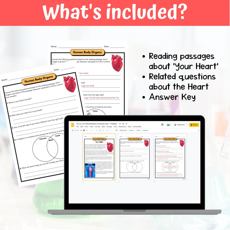 FREE Heart and its functions Life Science Activity