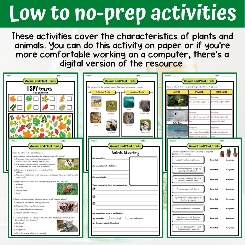 Animal and Plant Traits Activity & Answer Key 4th Grade Life Science