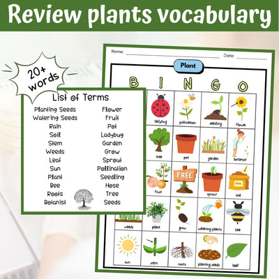 Science Bingo Game Plant Structures Vocabulary Game