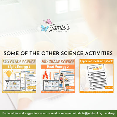 Science Bingo Game Plant Structures Vocabulary Game