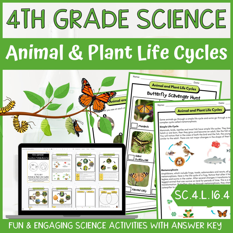 Plant and Animal Life Cycles Activity & Answer Key 4th Grade Life Science