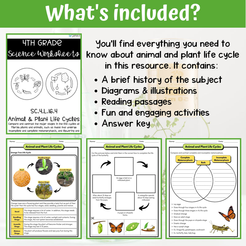 Plant and Animal Life Cycles Activity & Answer Key 4th Grade Life Science