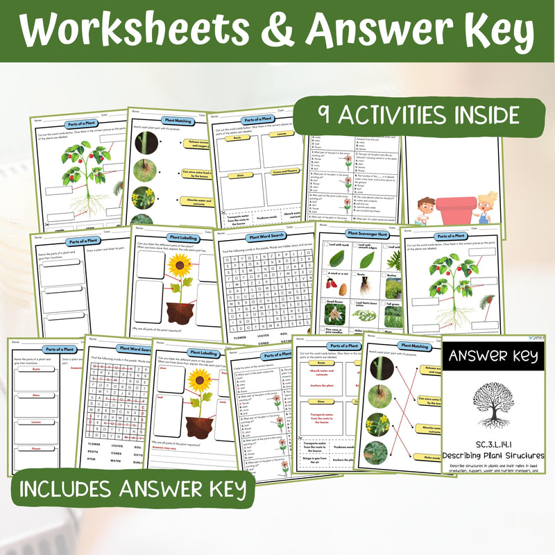 Plant Structures Activities and Vocabulary Game 3rd Grade Life Science BUNDLE