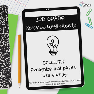 Photosynthesis Activity & Answer Key 3rd Grade Life Science