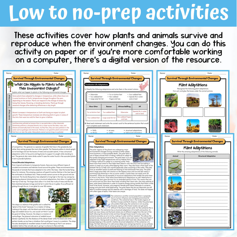 Plant and Animal Survival Activity & Answer Key 5th Grade Life Science