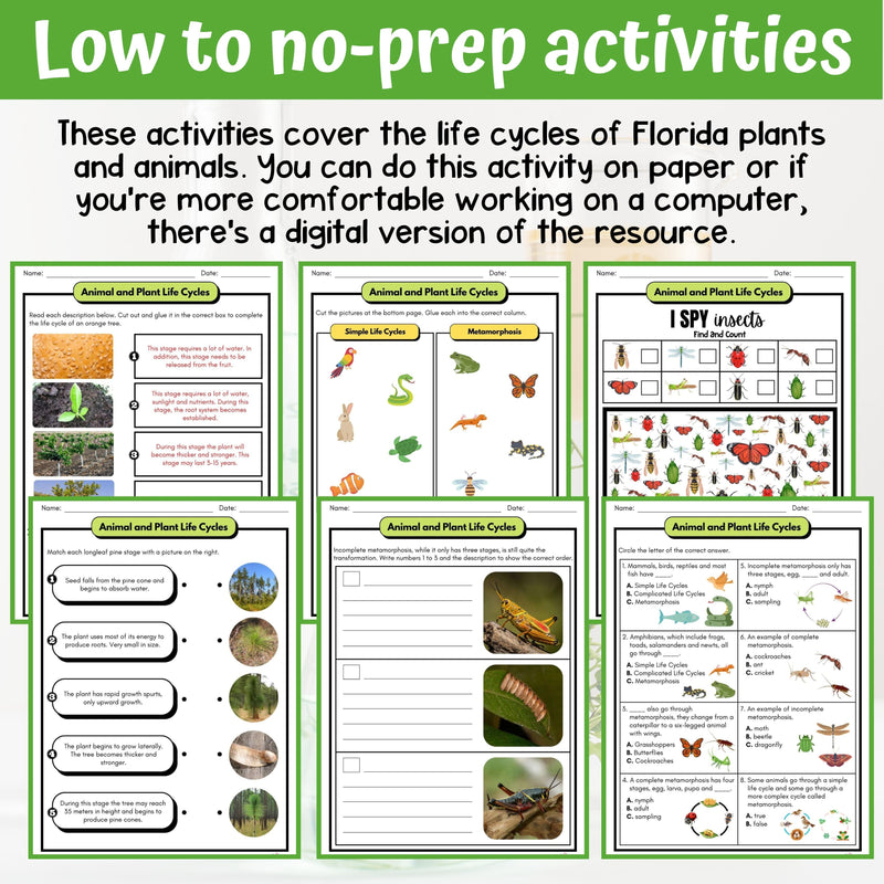 Plant and Animal Life Cycles Activity & Answer Key 4th Grade Life Science