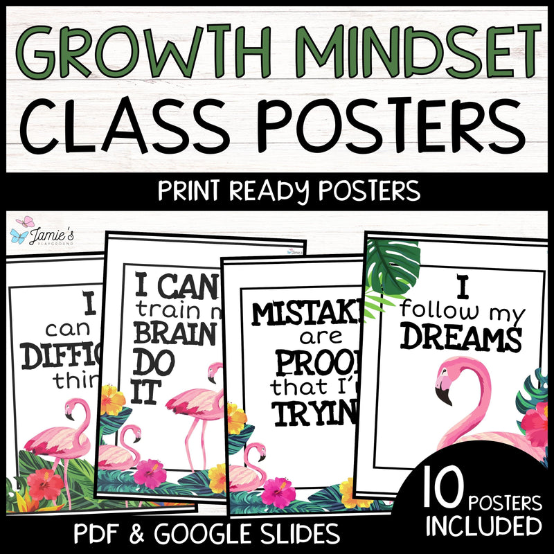 Growth Mindset Inspirational Posters Flamingo Bulletin Board Classroom Decor