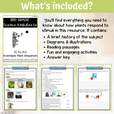 Plant Response to Stimuli Activity & Answer Key 3rd Grade Life Science