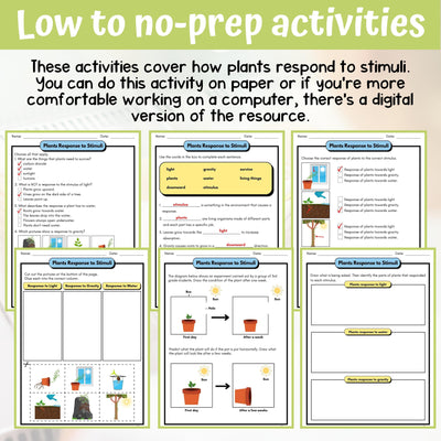 Plant Response to Stimuli Activity & Answer Key 3rd Grade Life Science