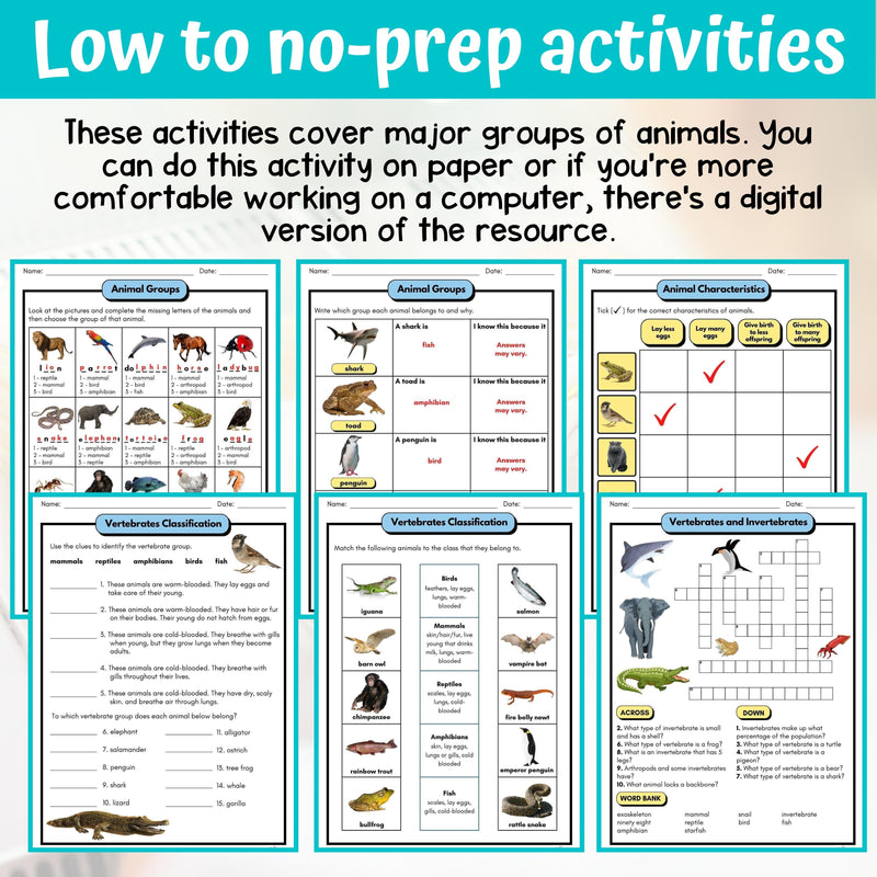 Classifying Animals Activity & Answer Key 3rd Grade Life Science