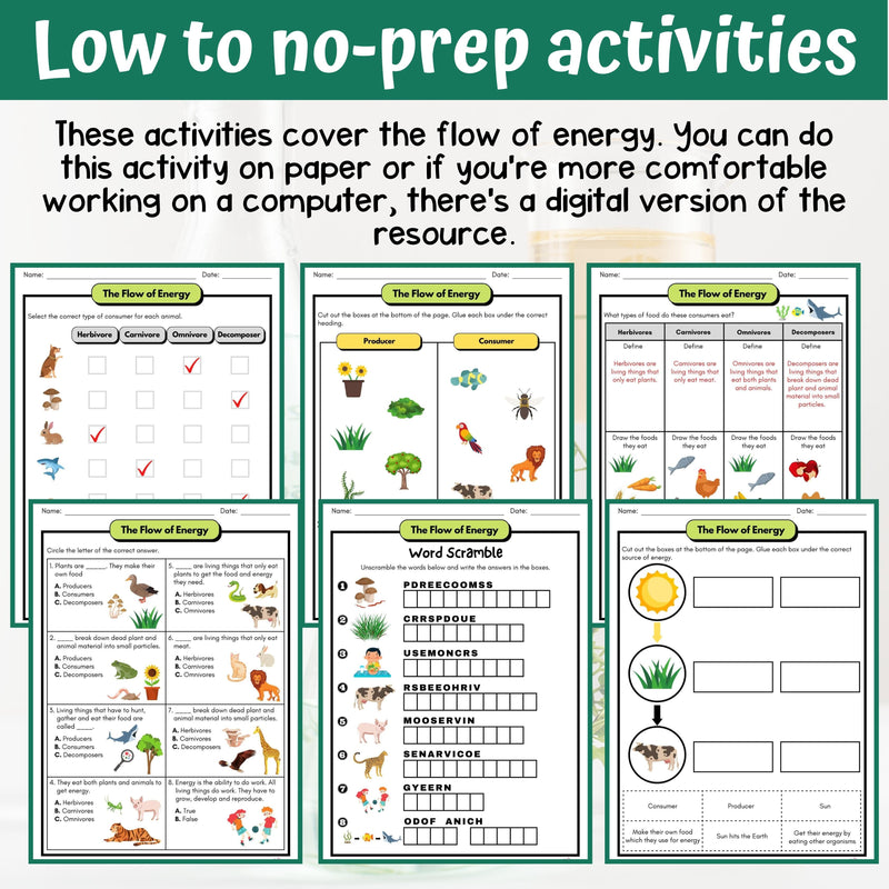 Flow of Energy Activity & Answer Key 4th Grade Life Science