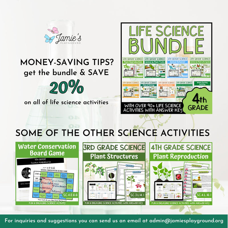 Flow of Energy Activity & Answer Key 4th Grade Life Science