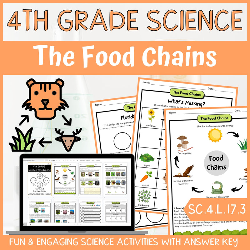 Food Chains Activity & Answer Key 4th Grade Life Science