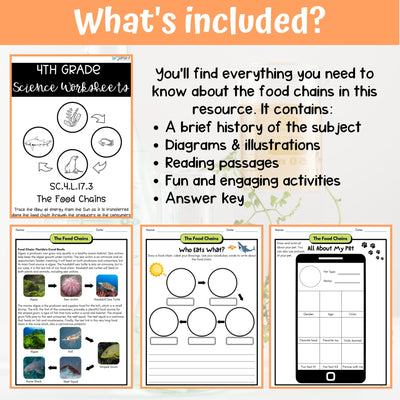 Food Chains Activity & Answer Key 4th Grade Life Science