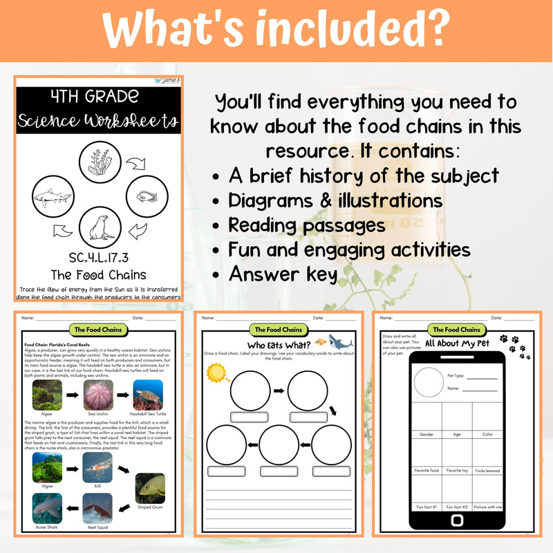 Food Chains Activity & Answer Key 4th Grade Life Science