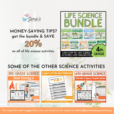 Food Chains Activity & Answer Key 4th Grade Life Science