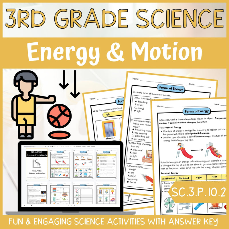 Potential and Kinetic Energy Activity & Answer Key 3rd Grade Physical Science