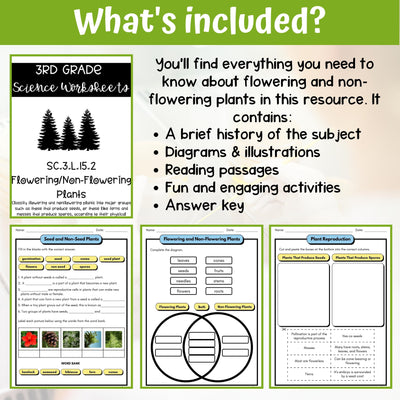 Classifying Plants Activity & Answer Key 3rd Grade Life Science