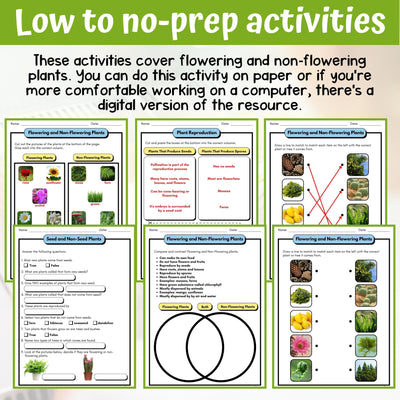 Classifying Plants Activity & Answer Key 3rd Grade Life Science