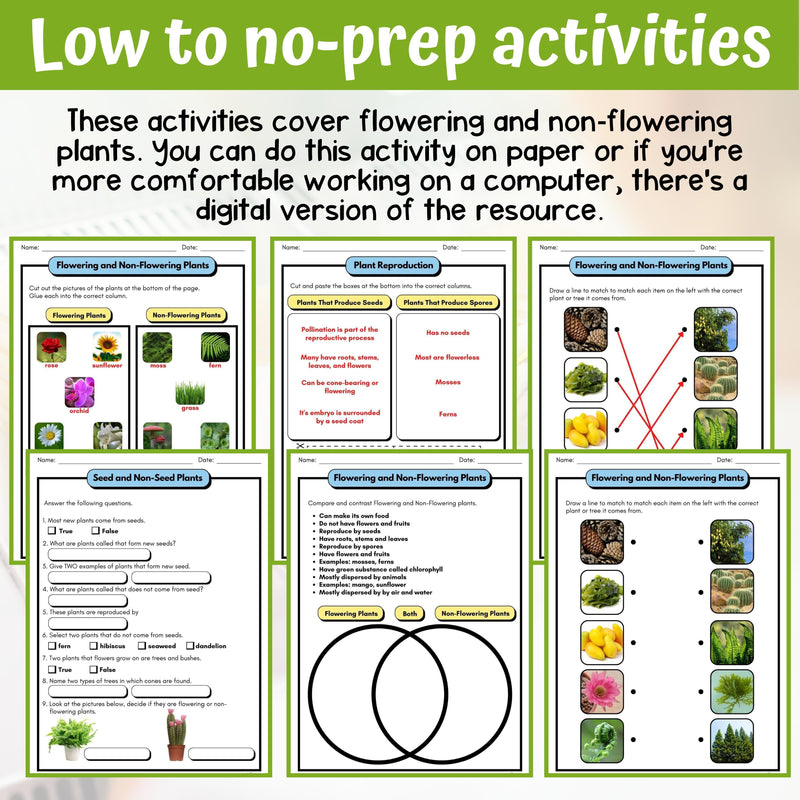 Classifying Plants Activity & Answer Key 3rd Grade Life Science