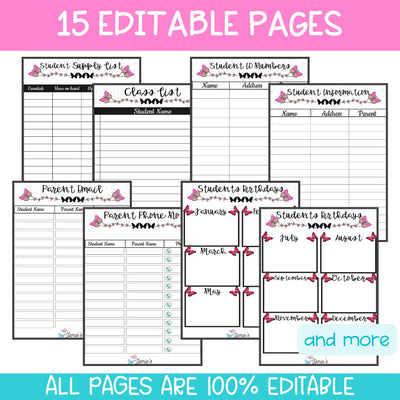 Editable Binder Documents for Teacher Binder and Planner | Student Information - Butterfly Theme