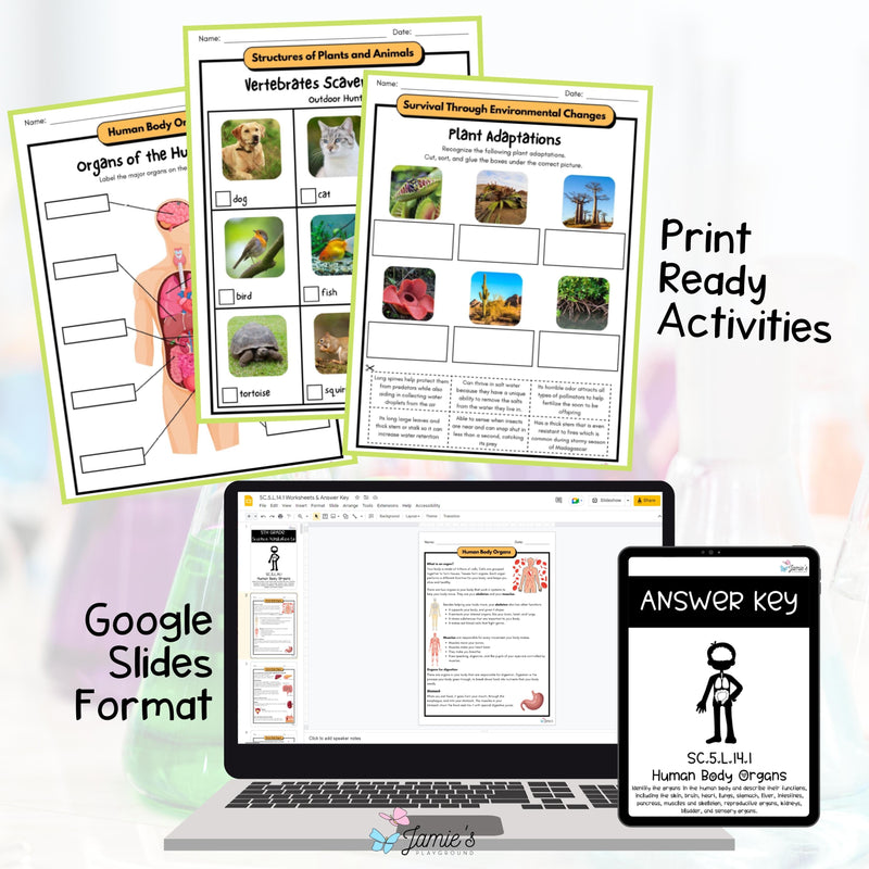 5th Grade Life Science BUNDLE - NGSS Aligned Activities & Answer Key