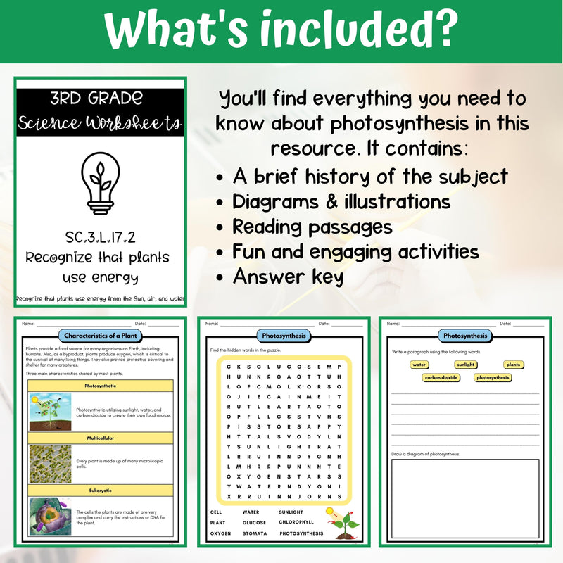 Photosynthesis Activity & Answer Key 3rd Grade Life Science