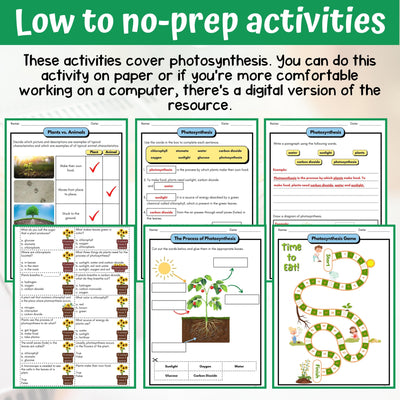 Photosynthesis Activity & Answer Key 3rd Grade Life Science