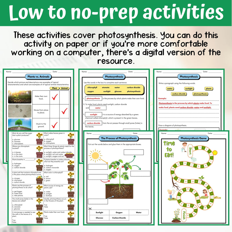 Photosynthesis Activity & Answer Key 3rd Grade Life Science