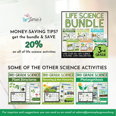 Photosynthesis Activity & Answer Key 3rd Grade Life Science