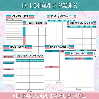 Teacher Binders/Planner - Binder Documents: Curriculum/Lesson Plan Overview - Pink & Teal