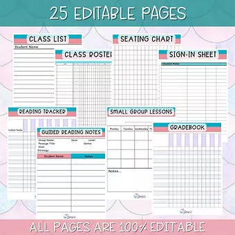 Teacher Binders/Planner - Binder Documents: ELA/Reading Teacher Documents - Pink & Teal