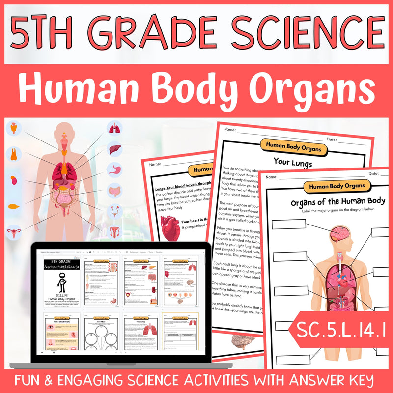 Human Body Organs Activity & Answer Key 5th Grade Life Science