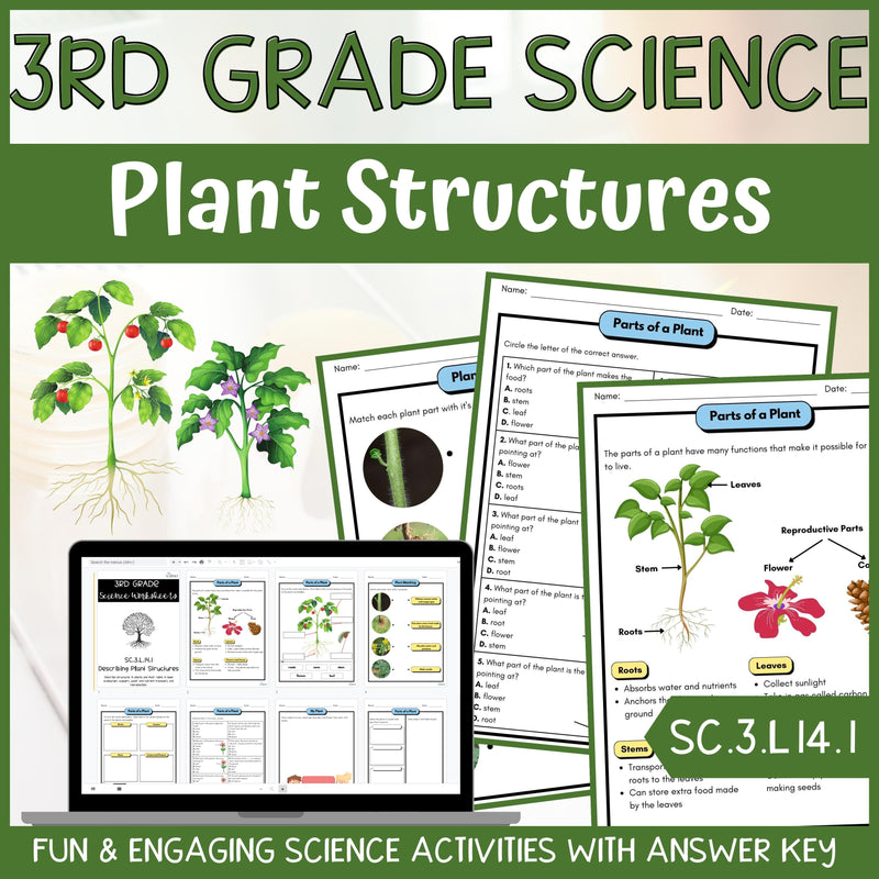 Plant Structures and Functions Activity & Answer Key 3rd Grade Life Science