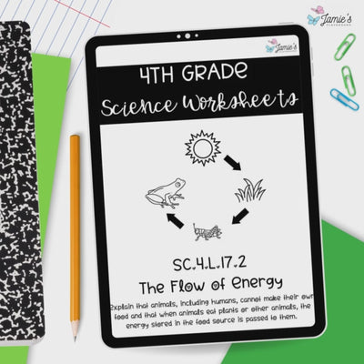 Flow of Energy Activity & Answer Key 4th Grade Life Science