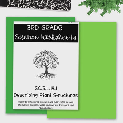 Science Bingo Game Plant Structures Vocabulary Game