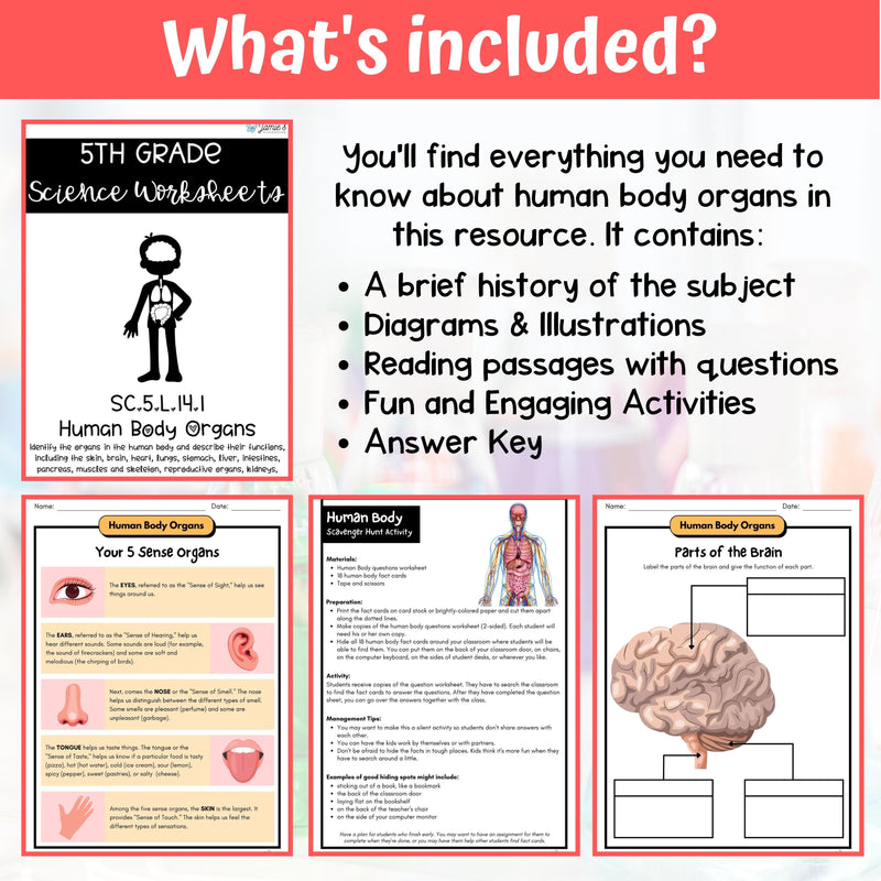 Human Body Organs Activity & Answer Key 5th Grade Life Science