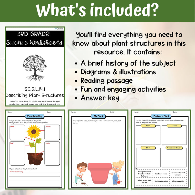 Plant Structures and Functions Activity & Answer Key 3rd Grade Life Science