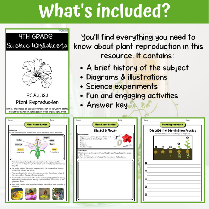 Plant Reproduction Activity & Answer Key 4th Grade Life Science