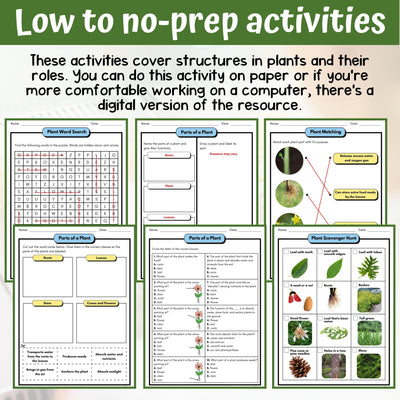 Plant Structures and Functions Activity & Answer Key 3rd Grade Life Science