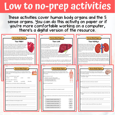 Human Body Organs Activity & Answer Key 5th Grade Life Science