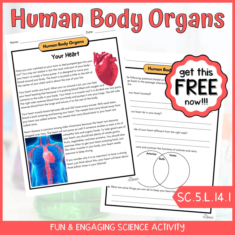 FREE Heart and its functions Life Science Activity