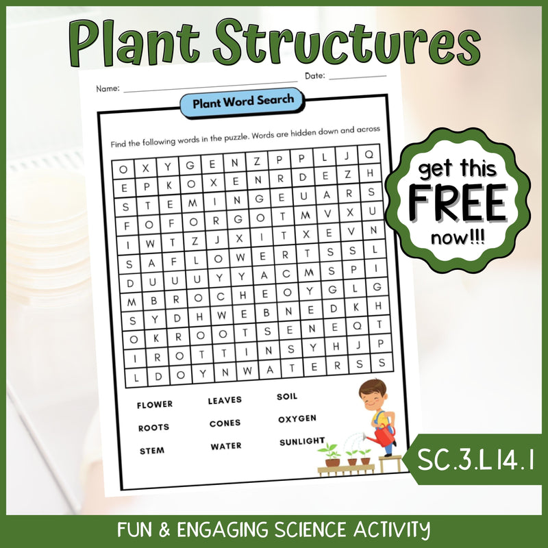 FREE Plant Structures and Functions Word Search Fun Science Activity