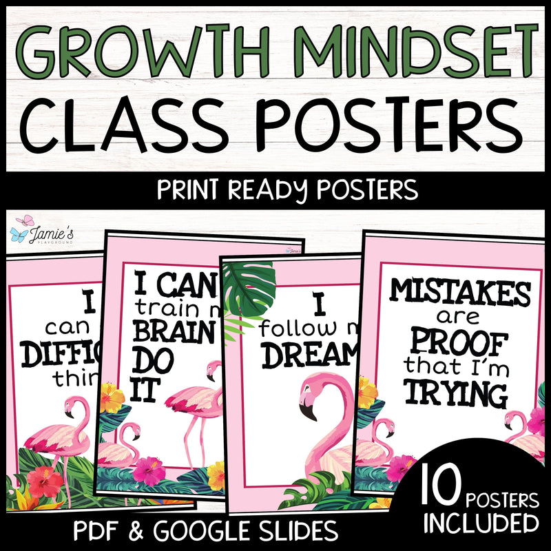 Growth Mindset Poster Display Flamingo Classroom Decor and Bulletin Board